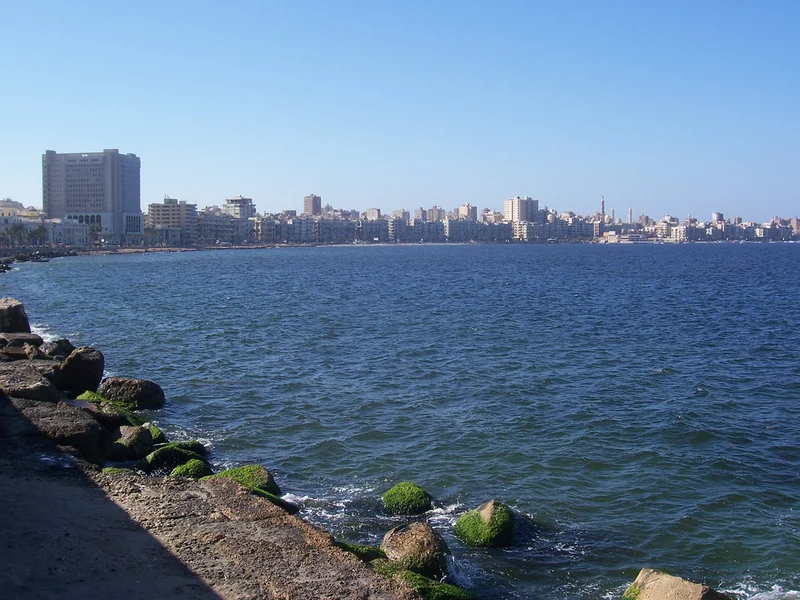 Alexandria: Exploring the Past, Present, and Future – What Reddit is Saying