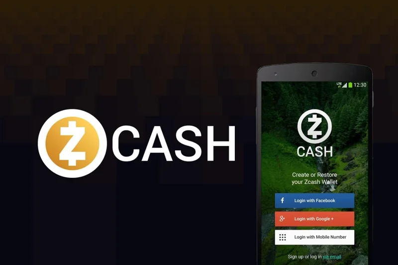 Zcash: What the Data Reveals